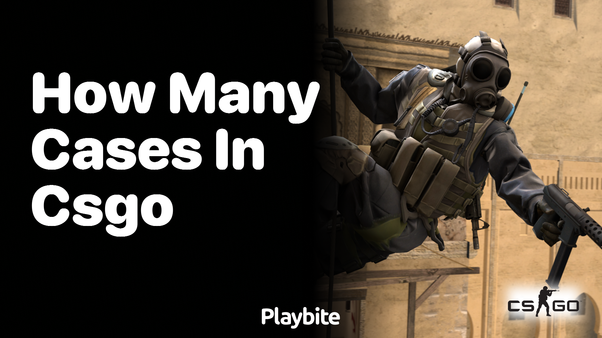 How many cases are there in CS:GO?