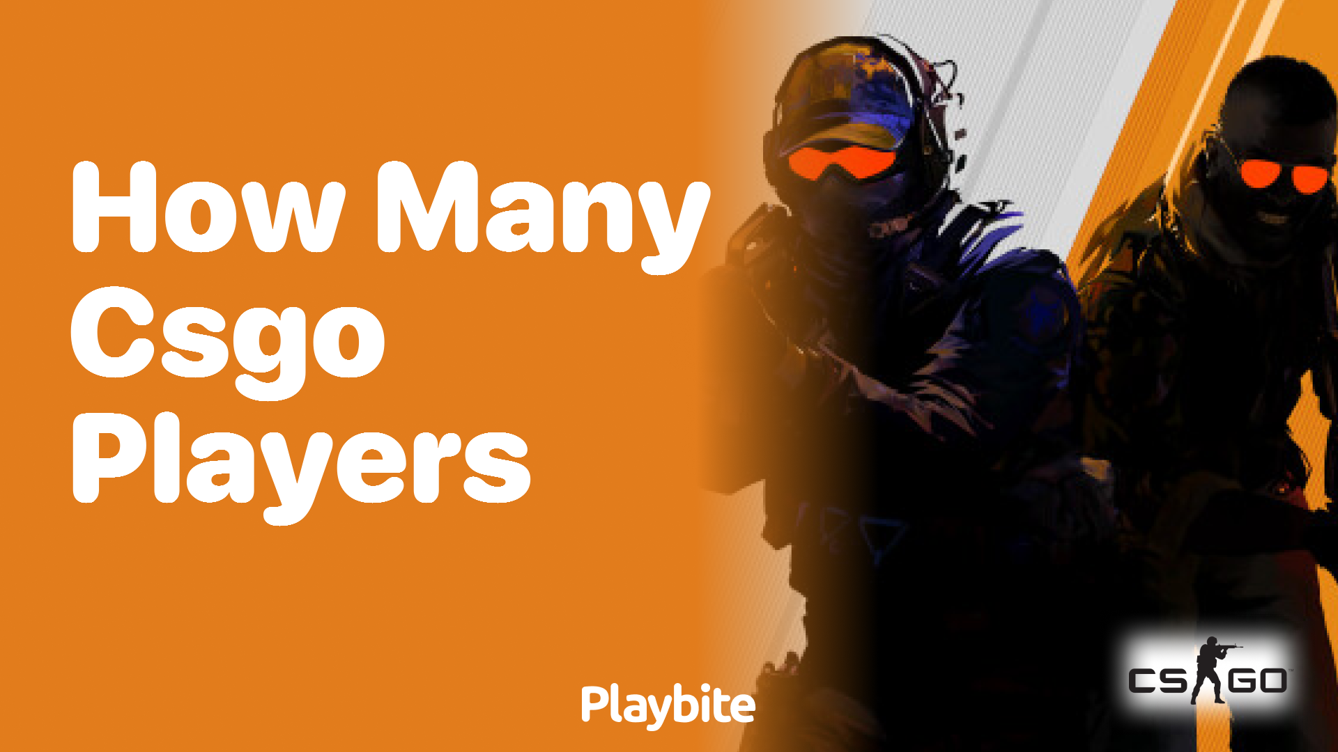 How many CS:GO players are there?