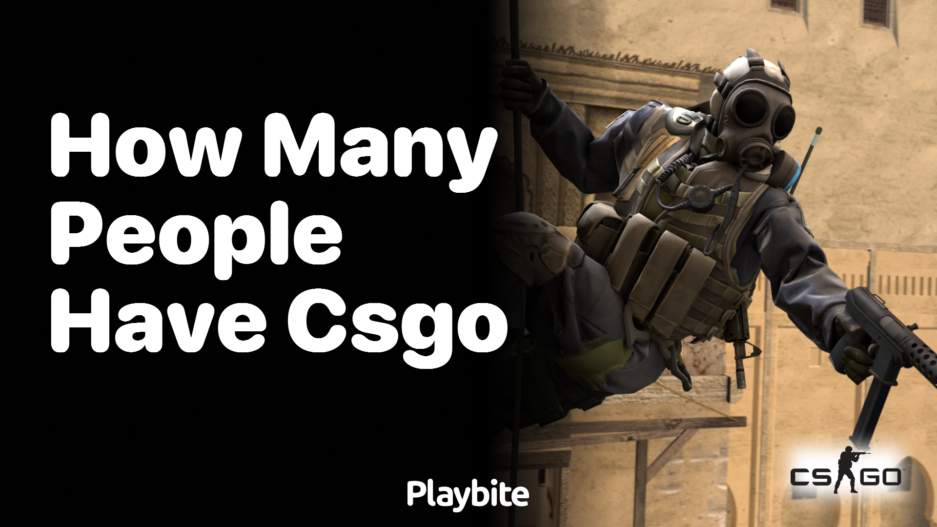 How many people play CS:GO?