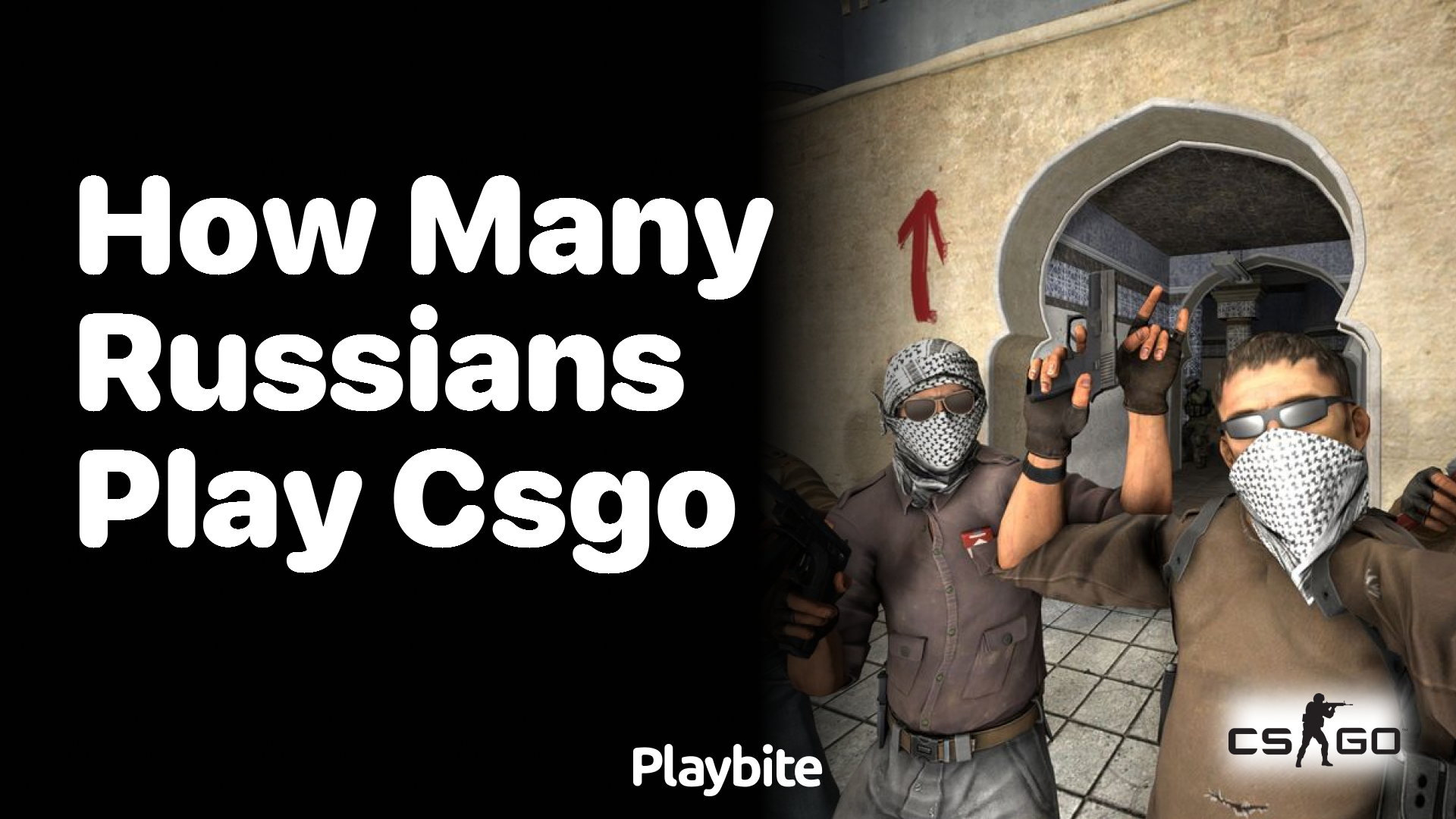 How many Russians play CS:GO?