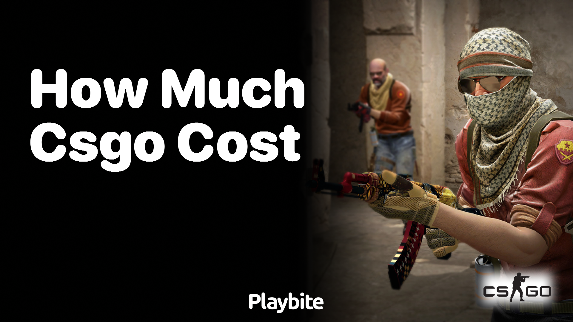 How much does CS:GO cost?