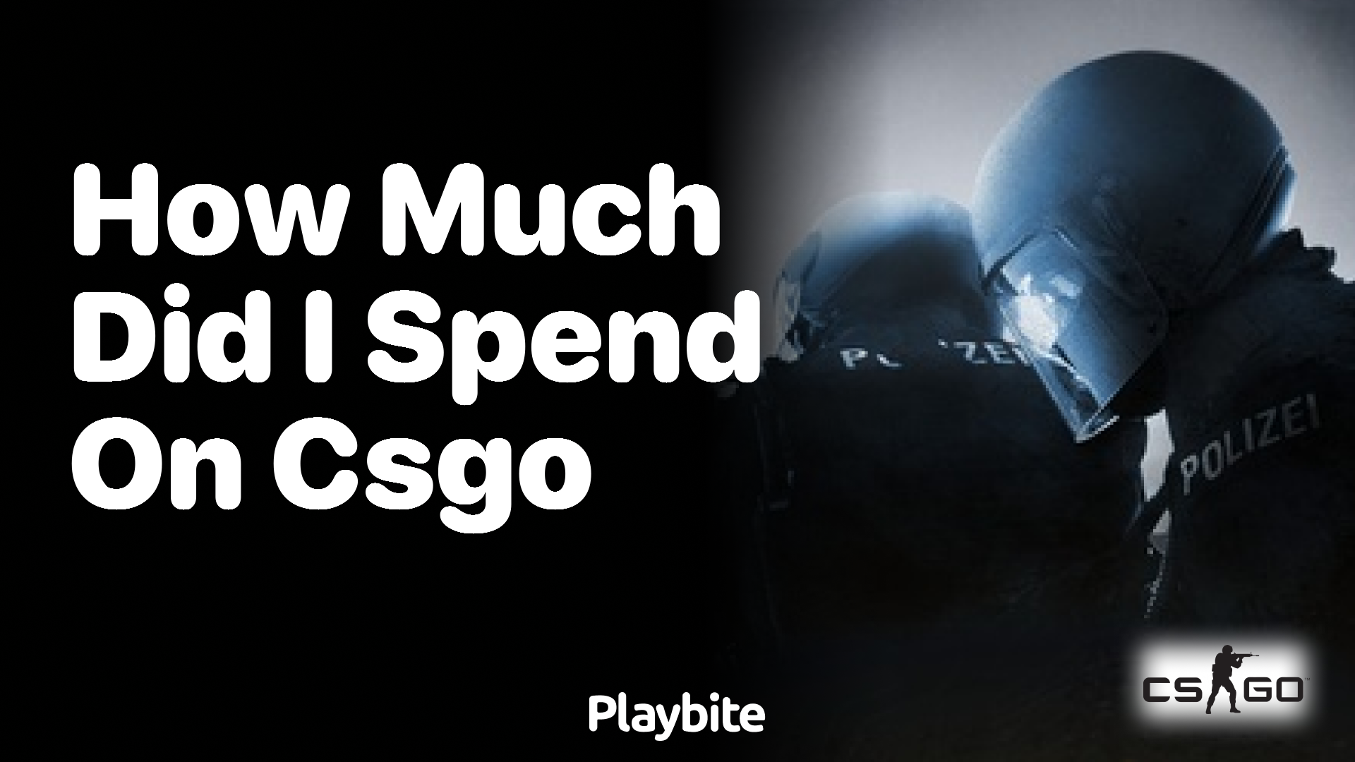 How much did I spend on CS:GO?