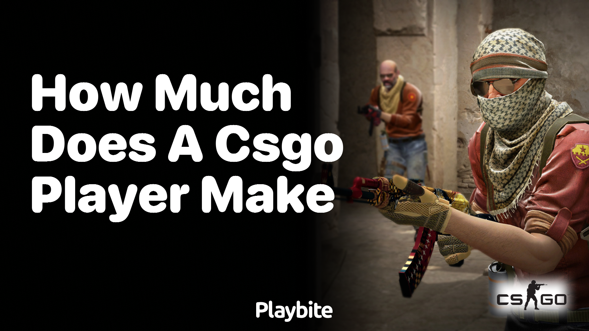 How much does a CS:GO player make?