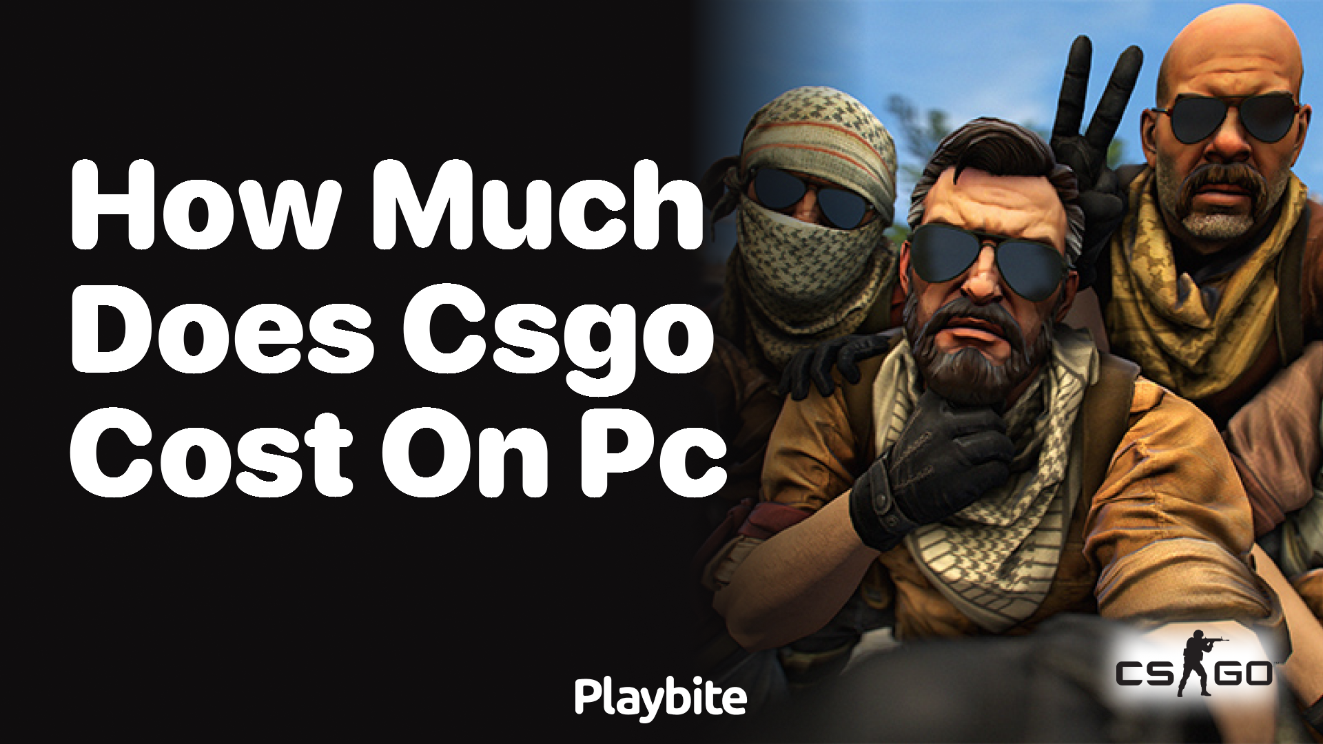 How much does CS:GO cost on PC?