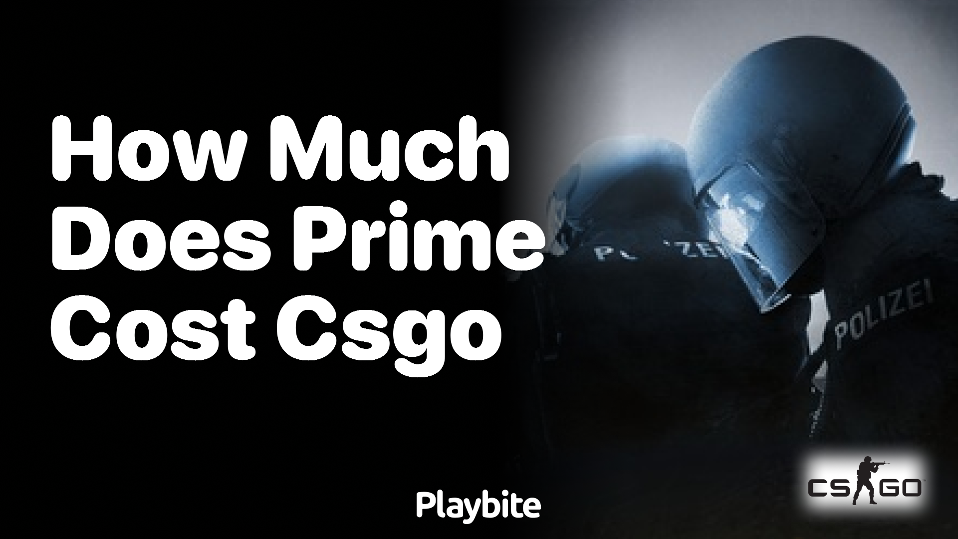 How much does Prime cost in CS:GO?