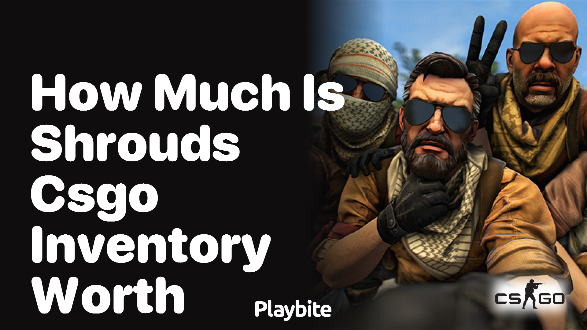 How much is Shroud&#8217;s CS:GO inventory worth?