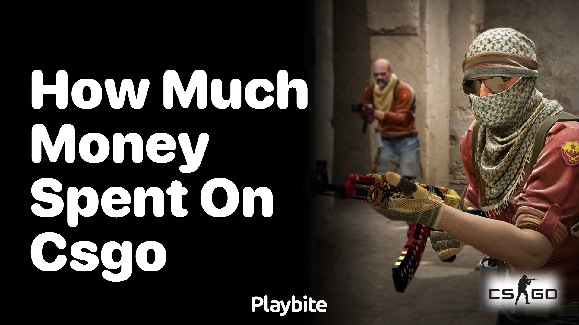 How much money have you spent on CS:GO?