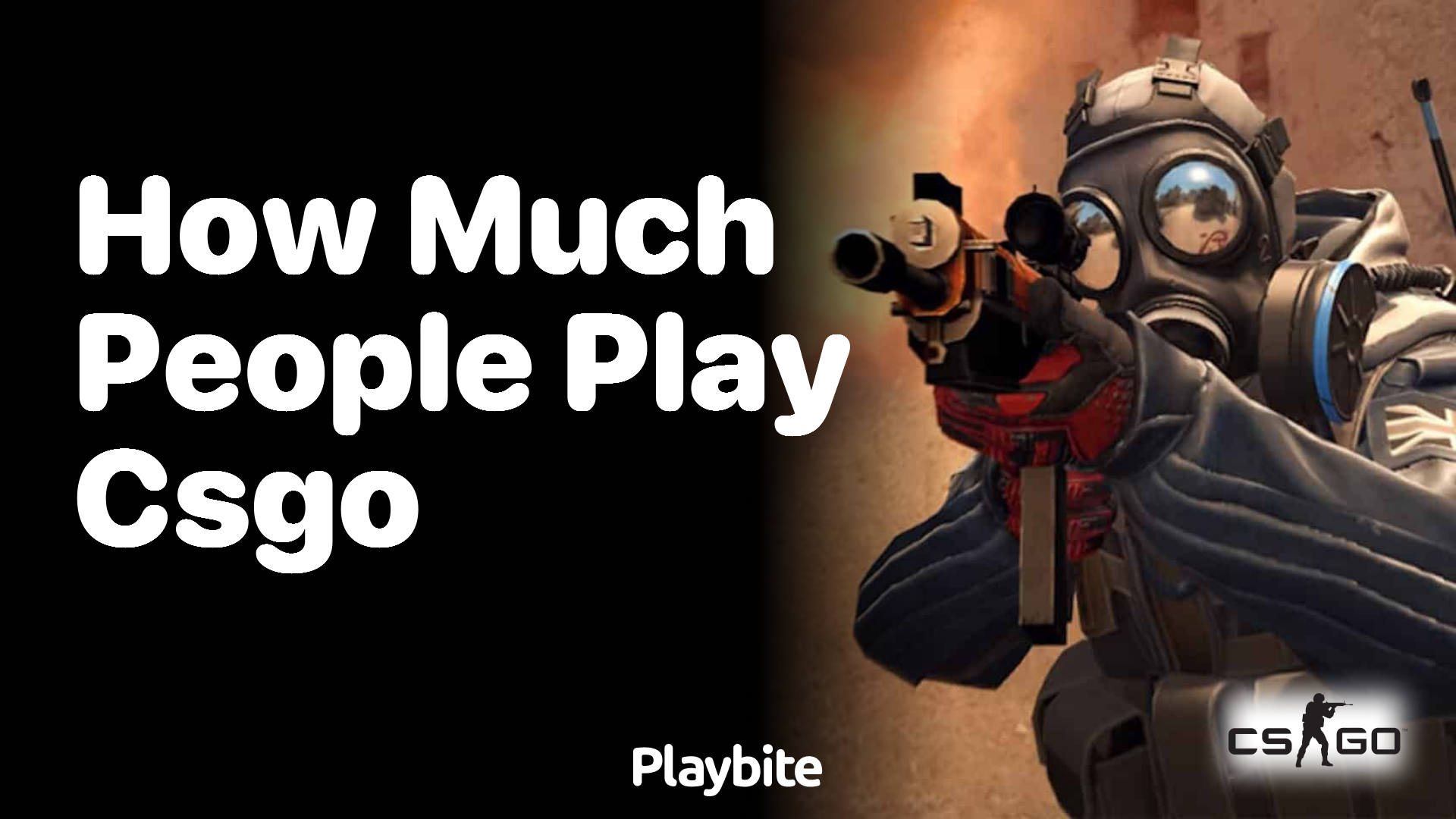 How many people play CSGO?