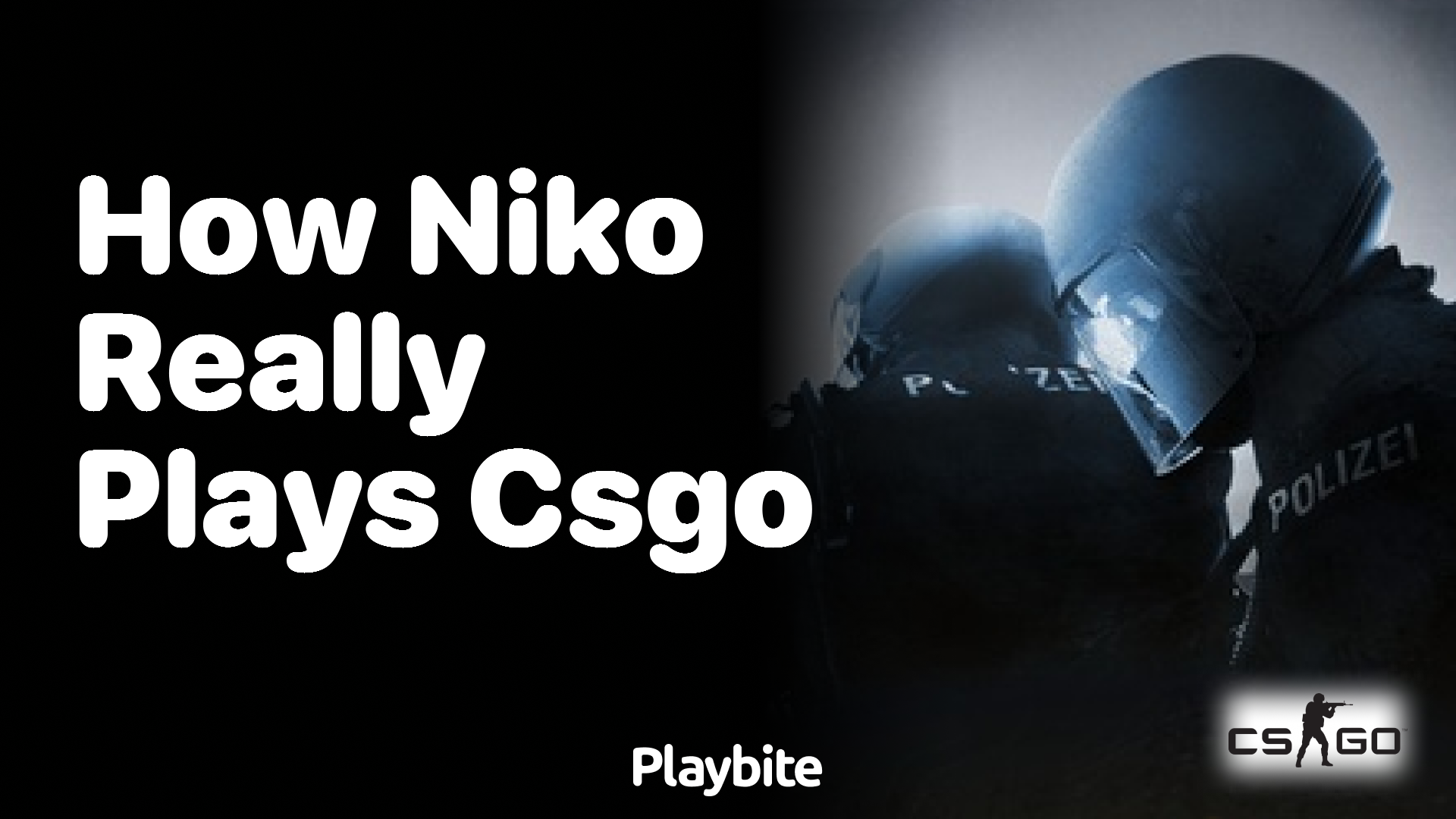 How does NiKo really play CS:GO?