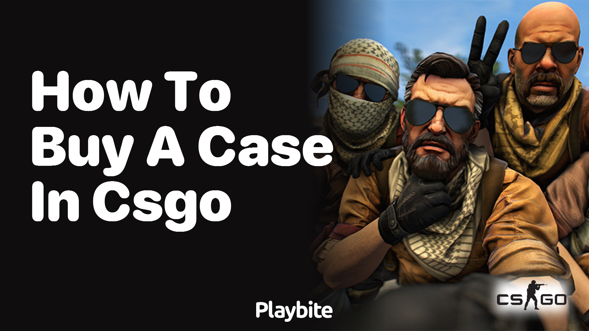 How to buy a case in CS:GO - Playbite