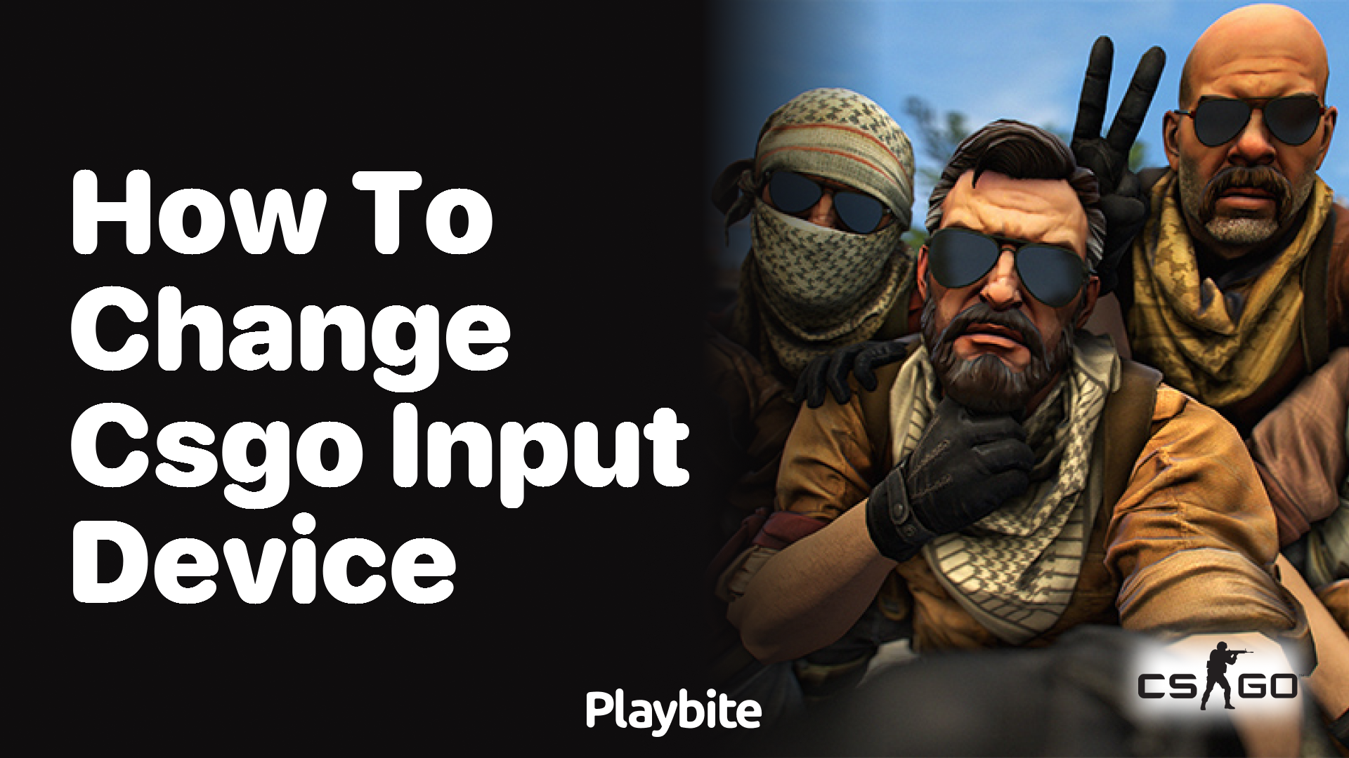 How to change the input device in CS:GO