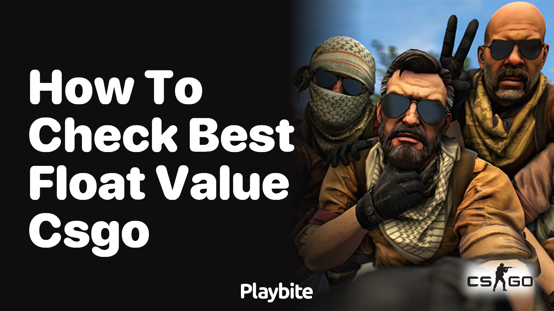 How to check the best float value in CS:GO