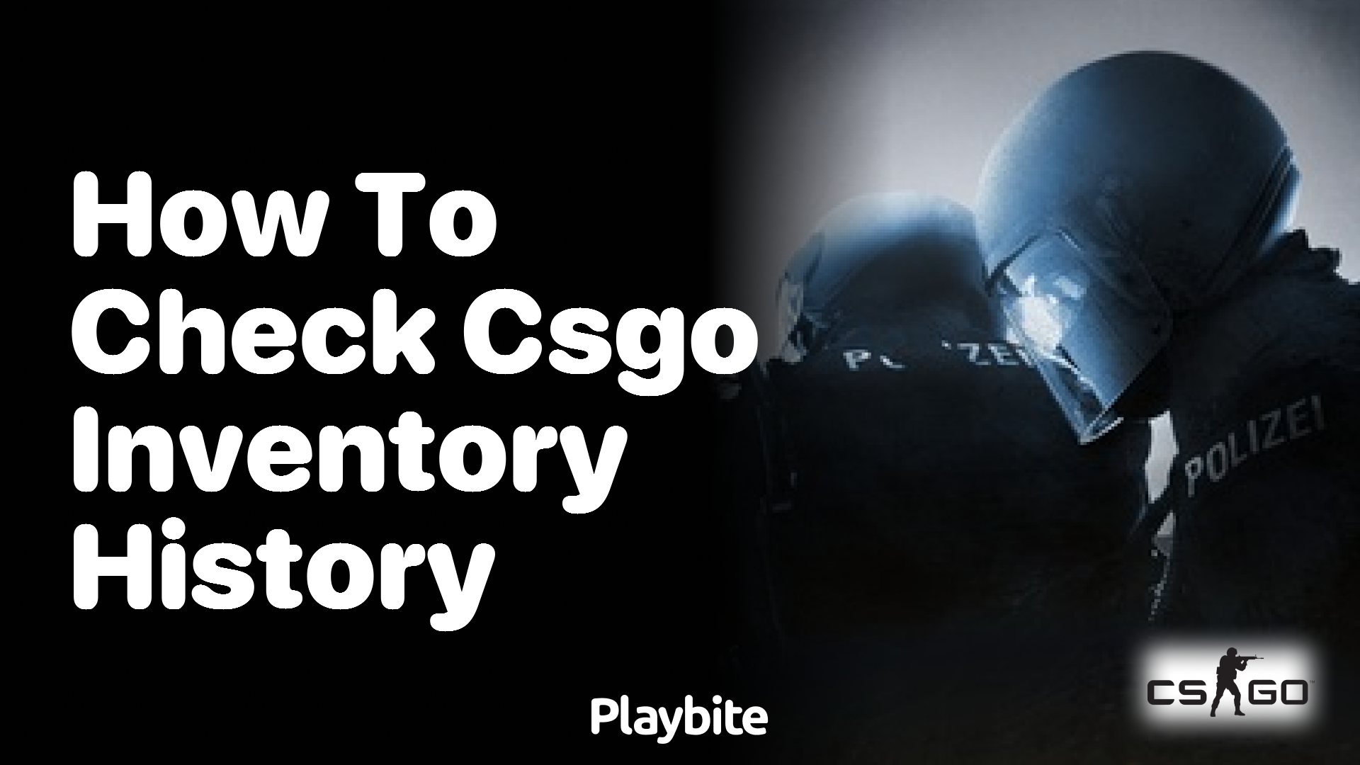 How to check CS:GO inventory history?