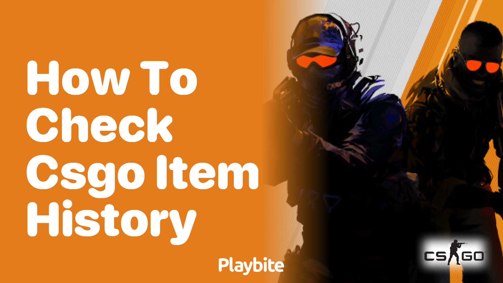 How to check CS:GO item history