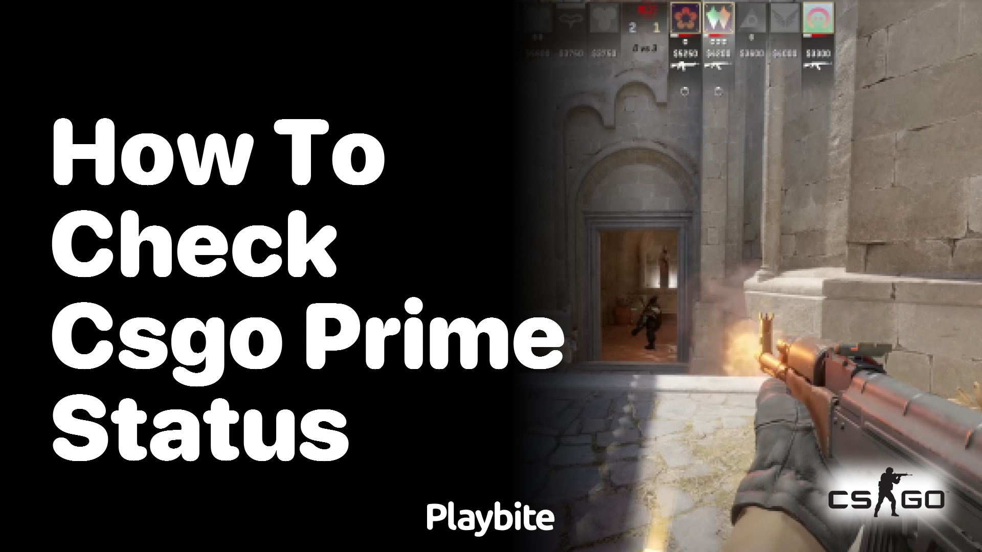 How to check CS:GO Prime Status?