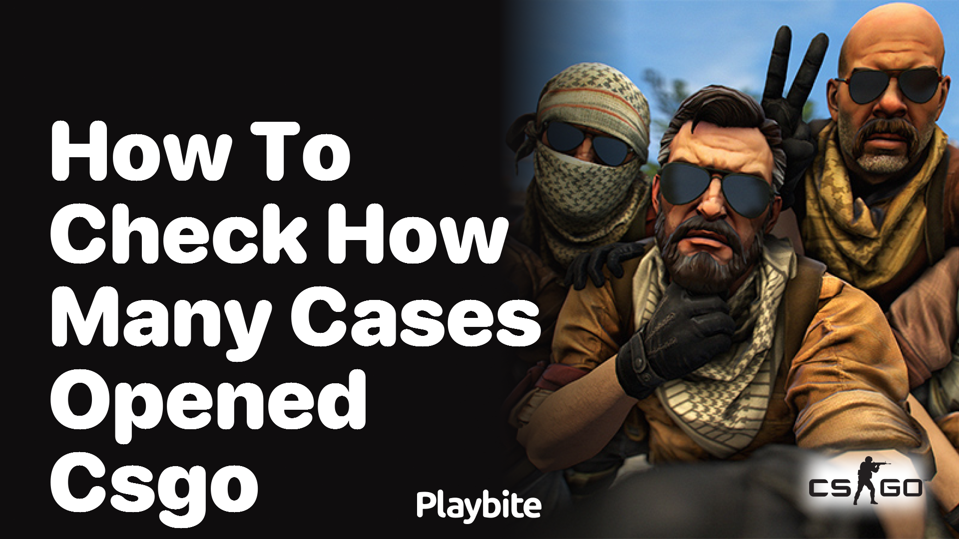 How to check how many cases you&#8217;ve opened in CS:GO