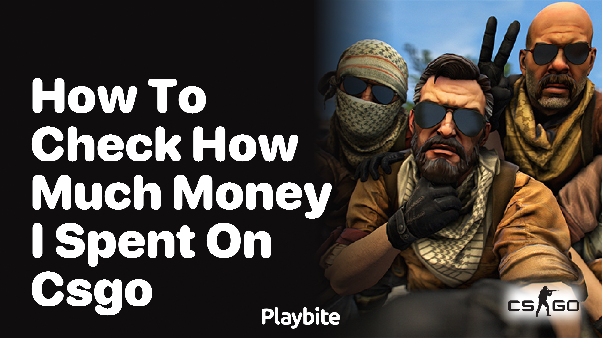 How to check how much money I spent on CS:GO