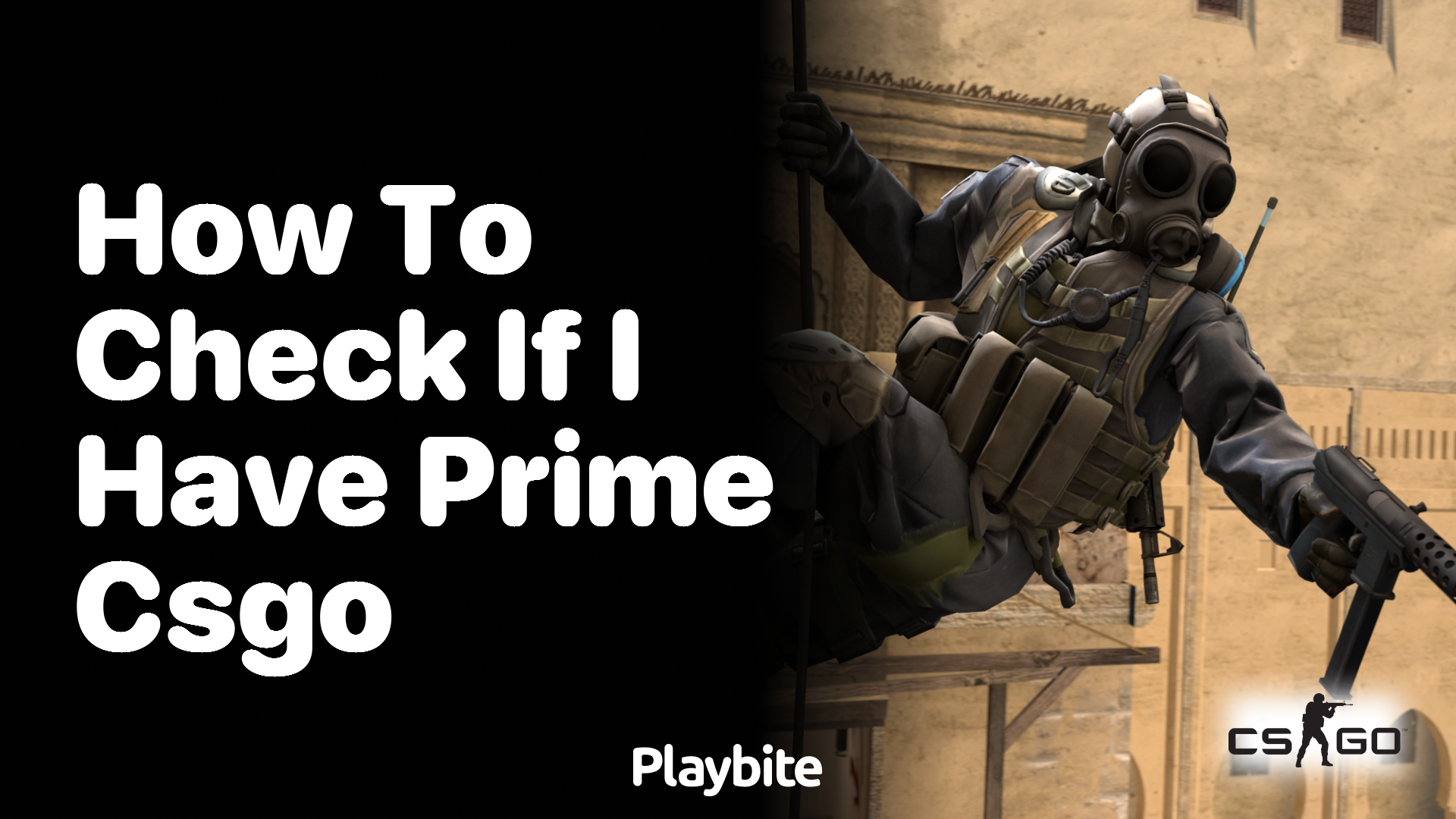 How to check if I have Prime in CS:GO