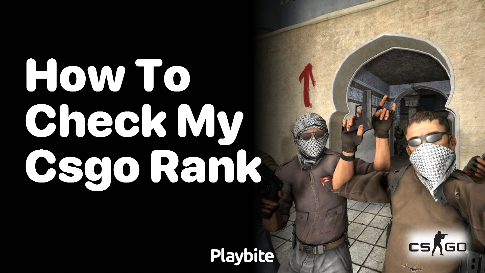 How to check my CS:GO rank