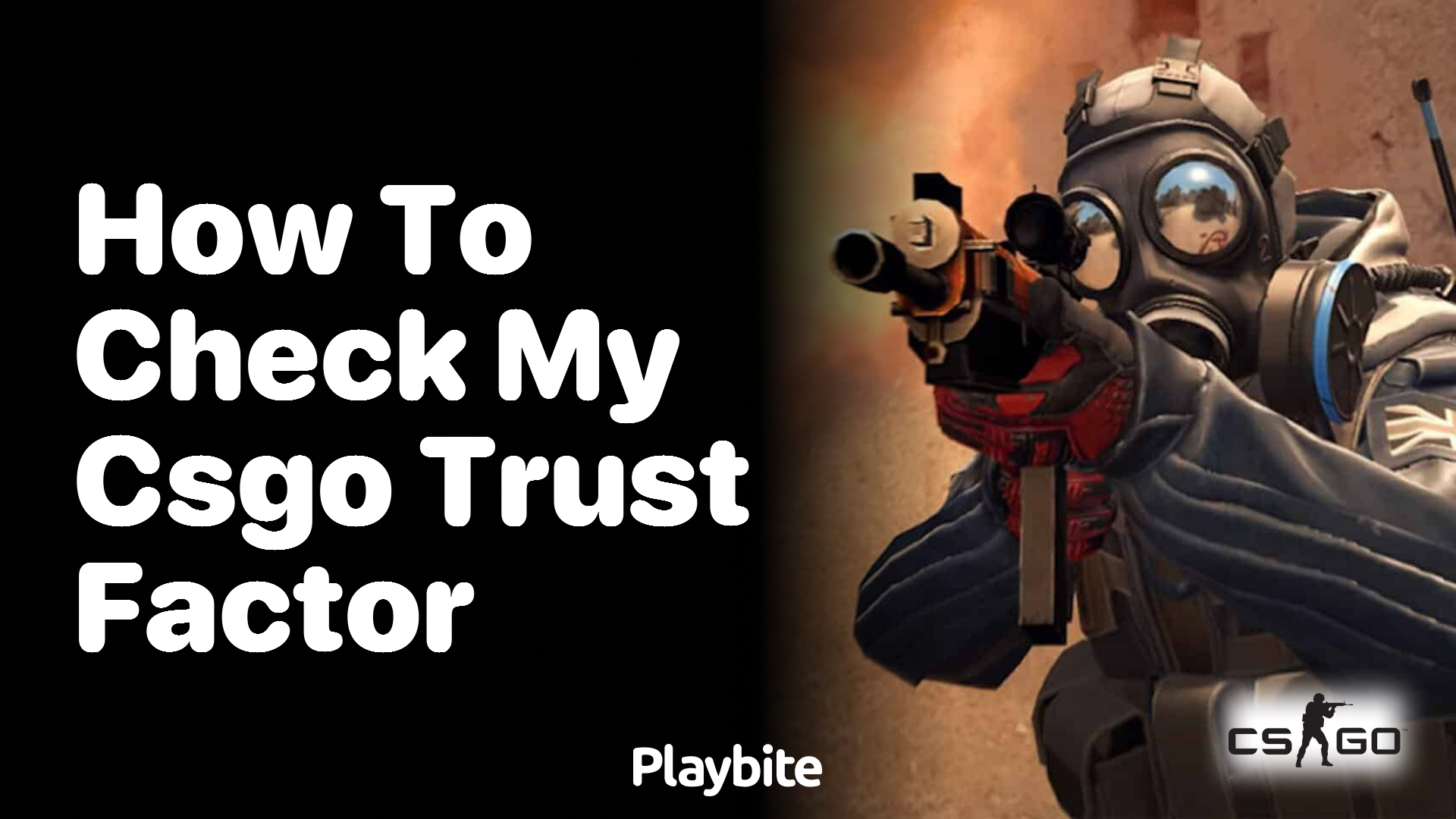 How to check my CS:GO trust factor?