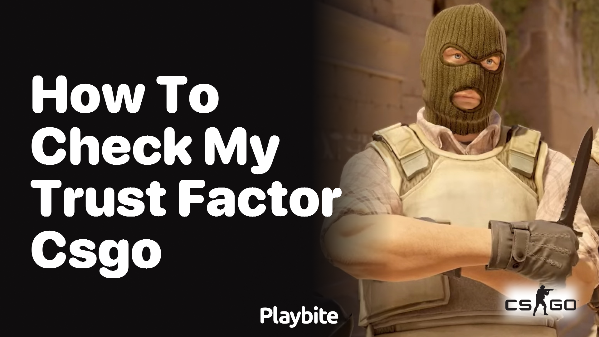 How to check my trust factor in CS:GO