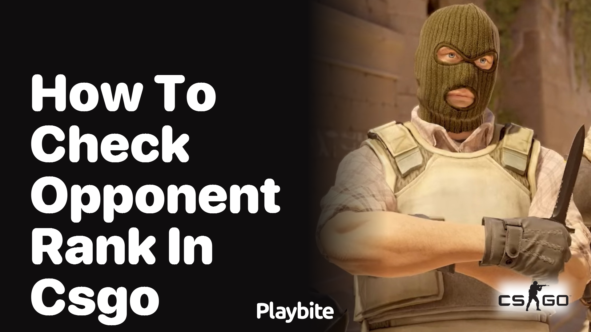 How to check opponent rank in CSGO?