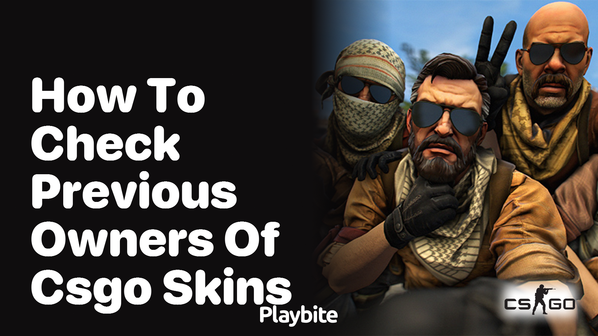 How to check previous owners of CS:GO skins