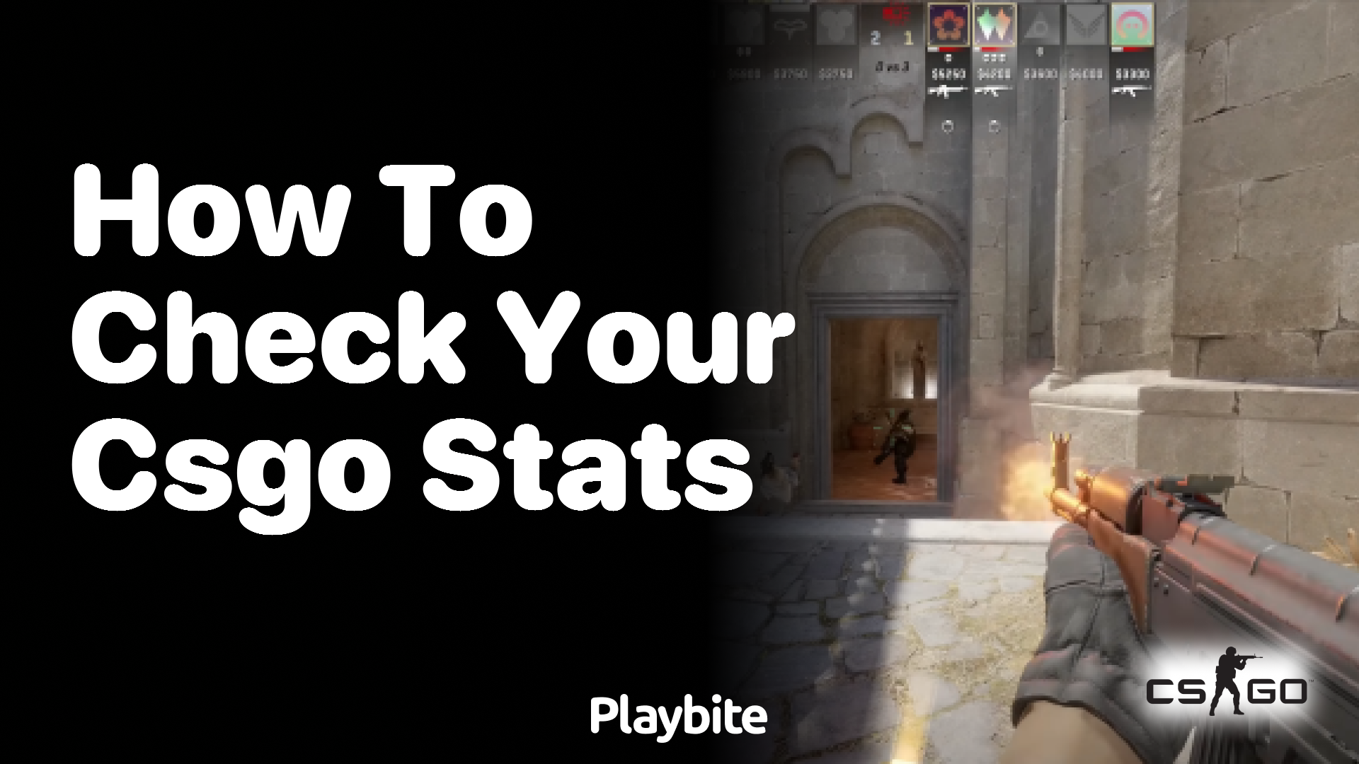 How to Check Your CS:GO Stats