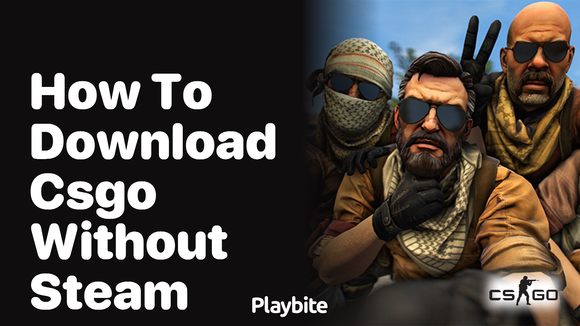 How to Download CSGO Without Steam