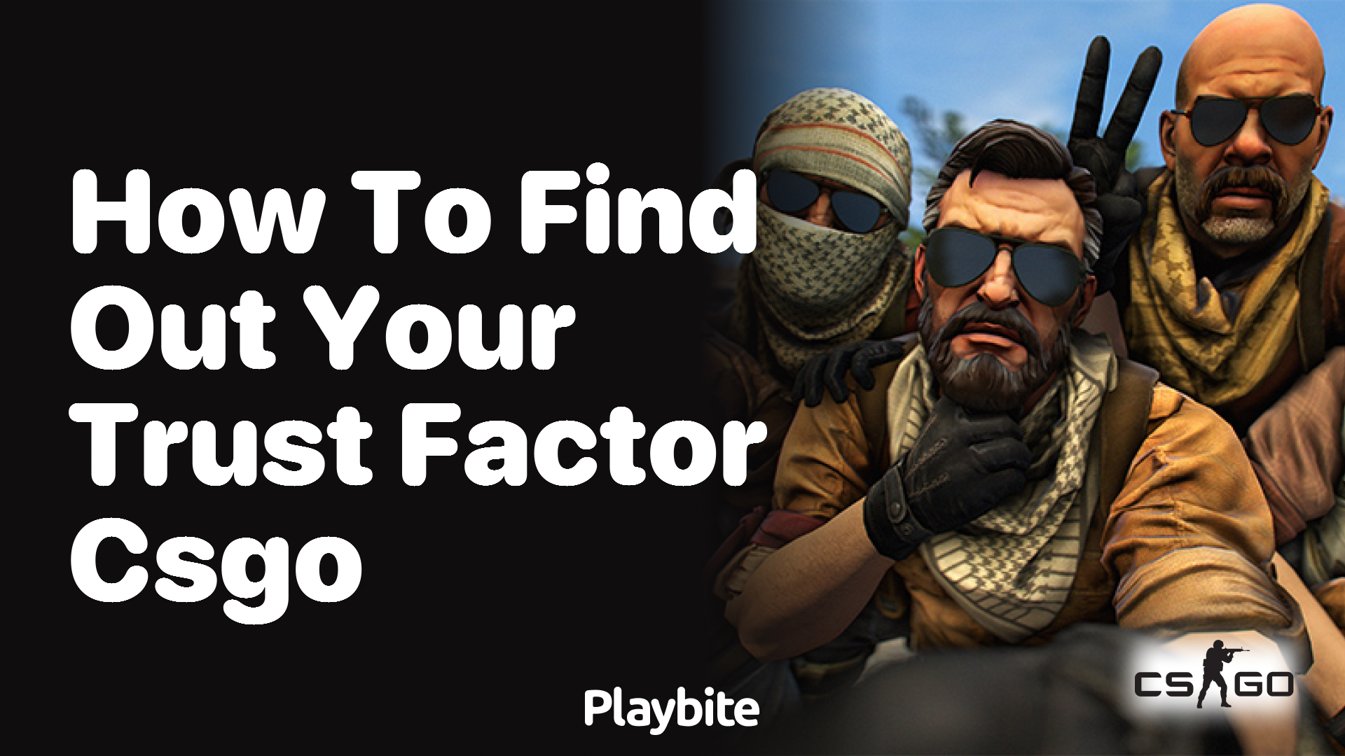 How to find out your Trust Factor in CS:GO