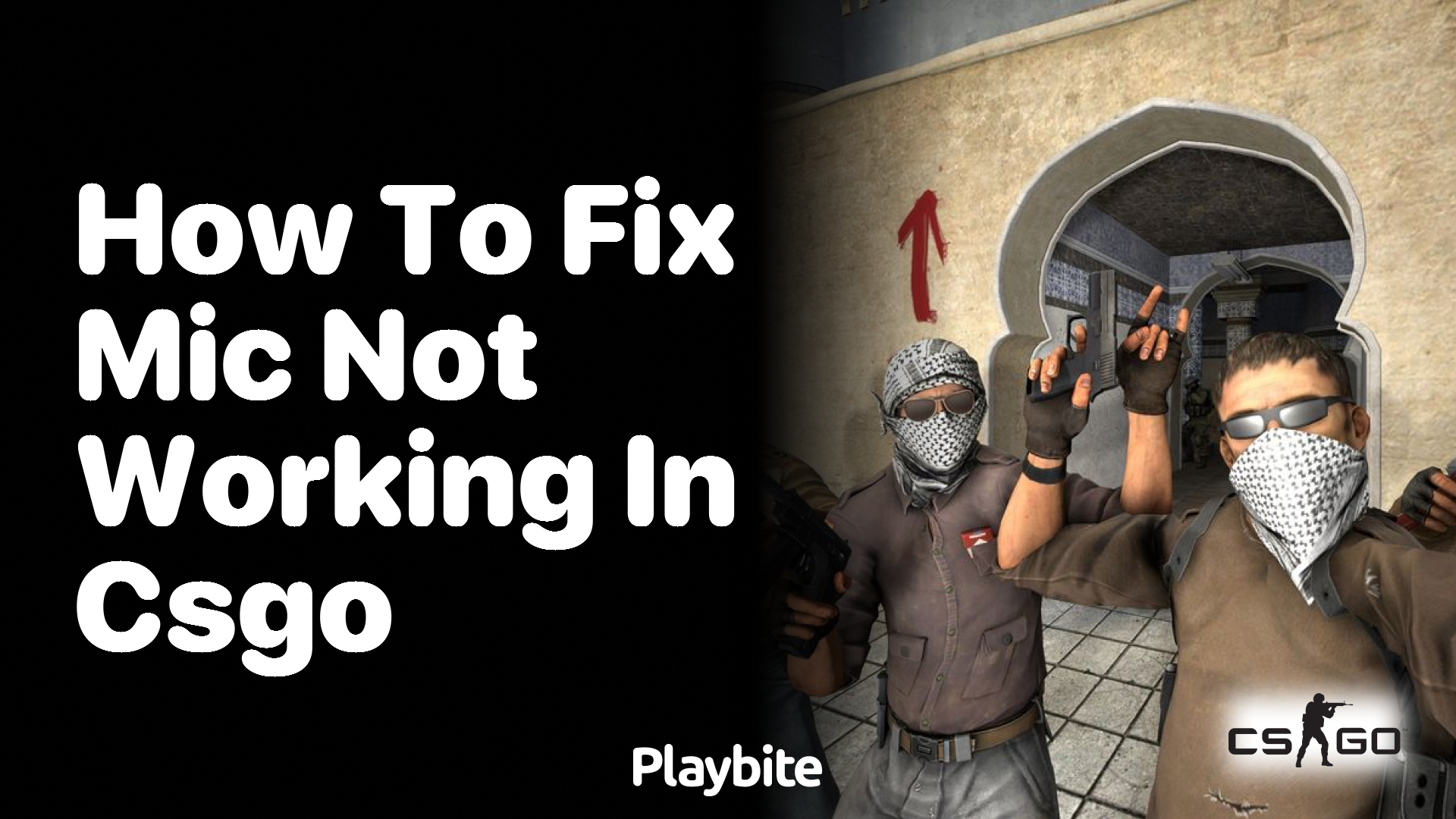 How to Fix Mic Not Working in CS:GO