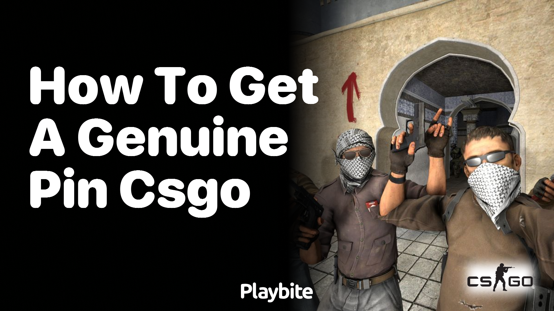 How to get a genuine pin in CS:GO