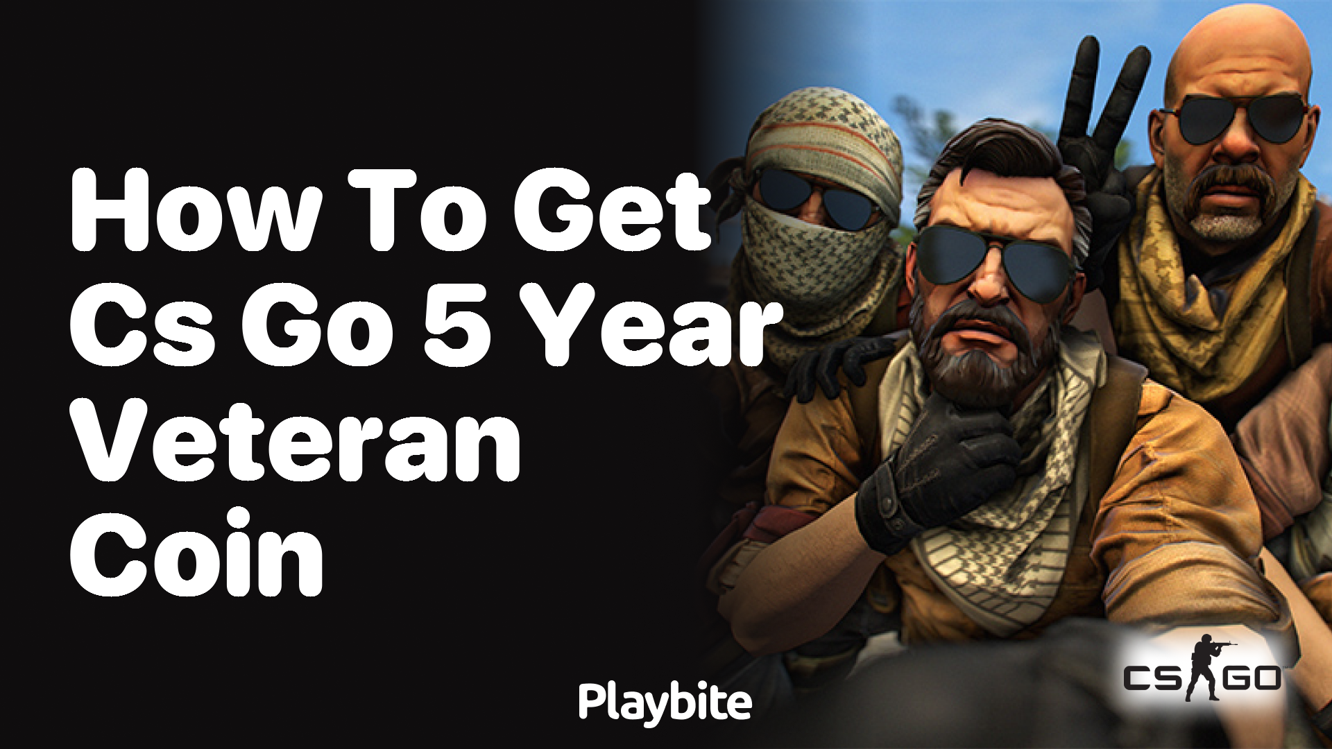 How to get CS:GO 5 year veteran coin?