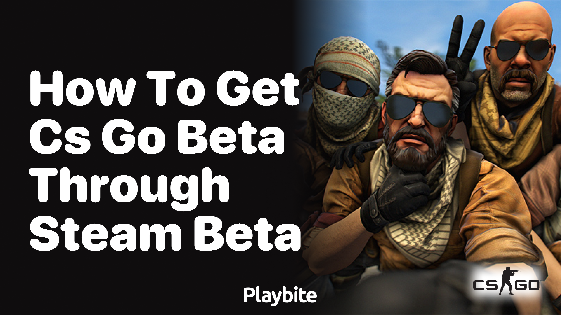 How to get CS:GO beta through Steam beta?