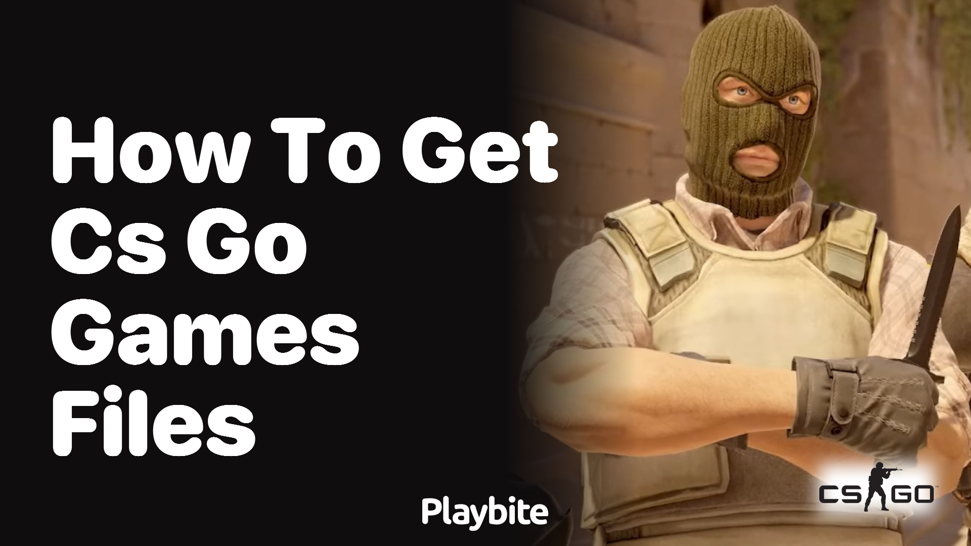 How to get CS:GO game files