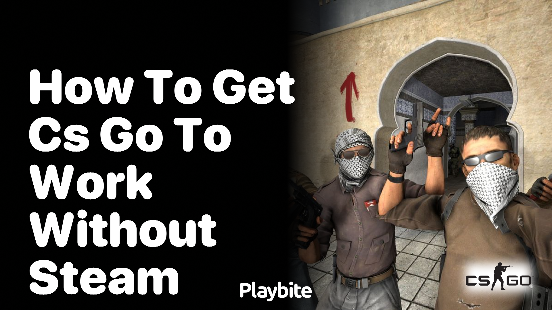 How to Get CS GO to Work Without Steam?