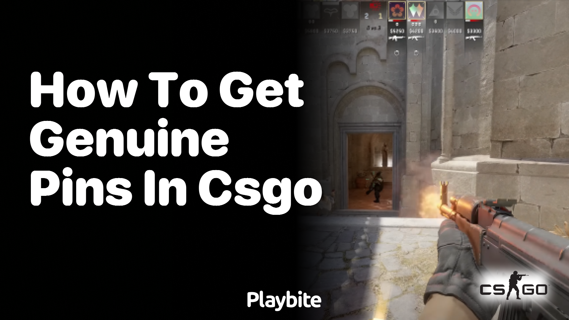 How to get genuine pins in CS:GO