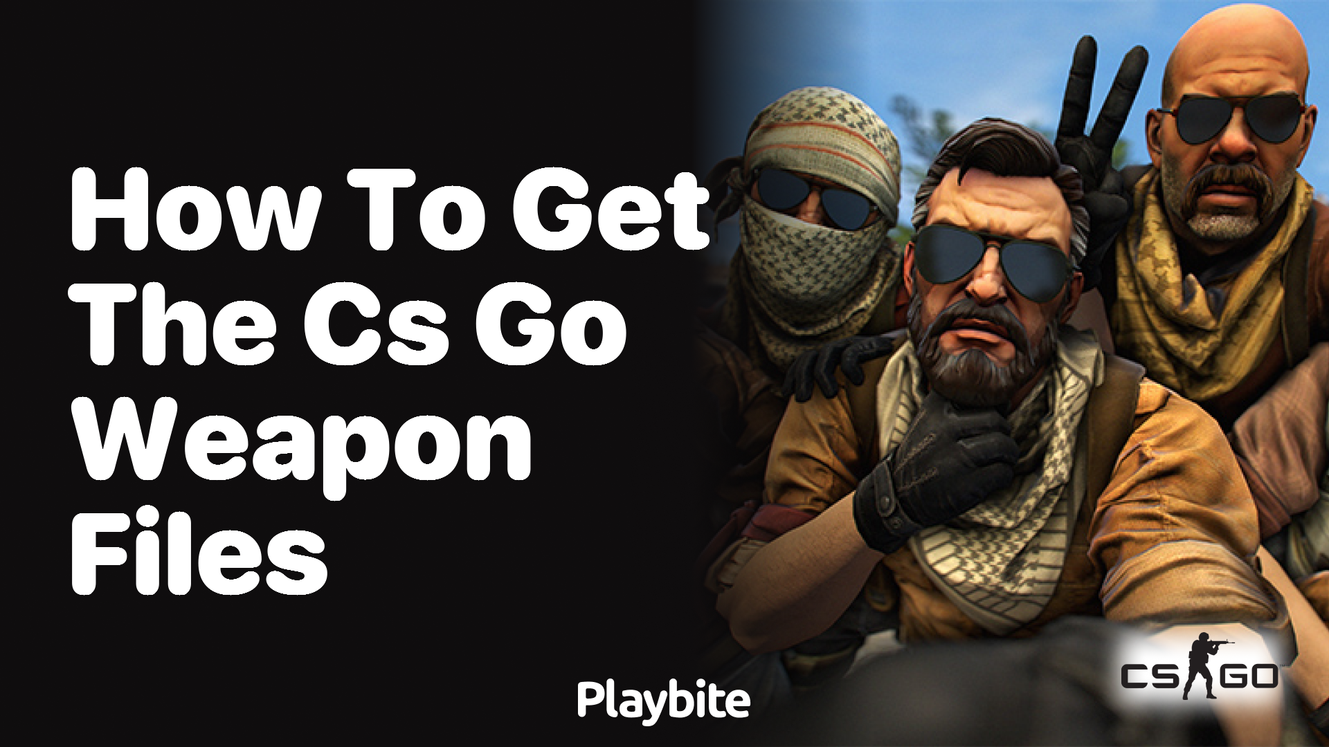 How to get the CS:GO weapon files