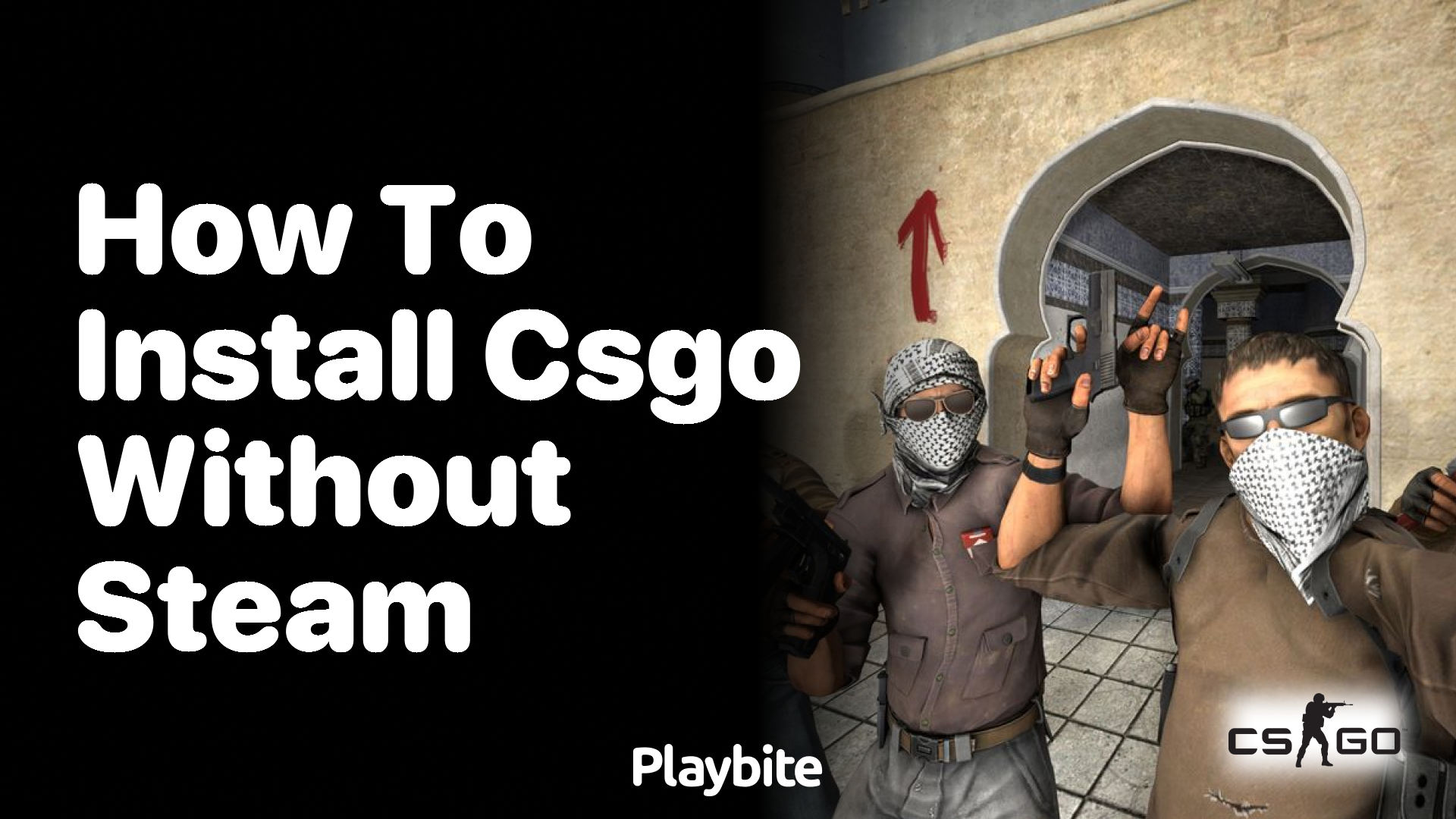 How to install CSGO without Steam?