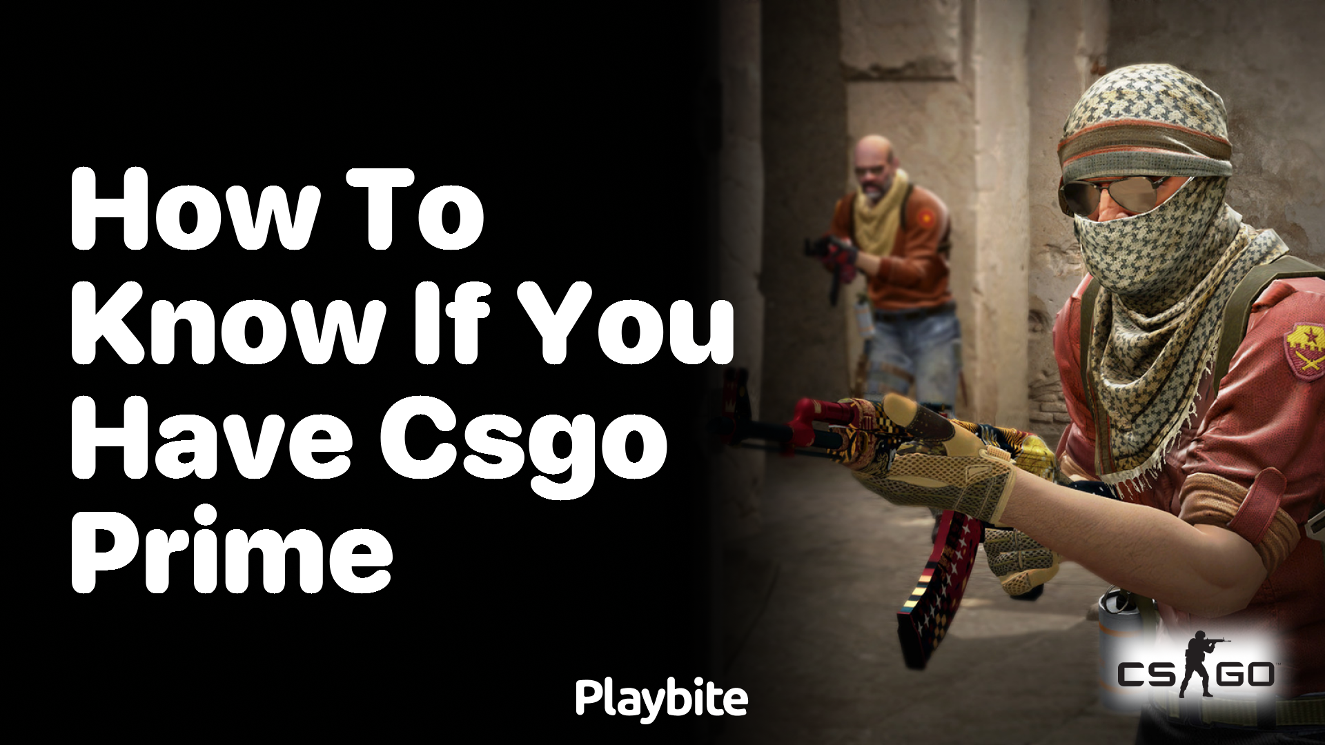 How to Know if You Have CS:GO Prime