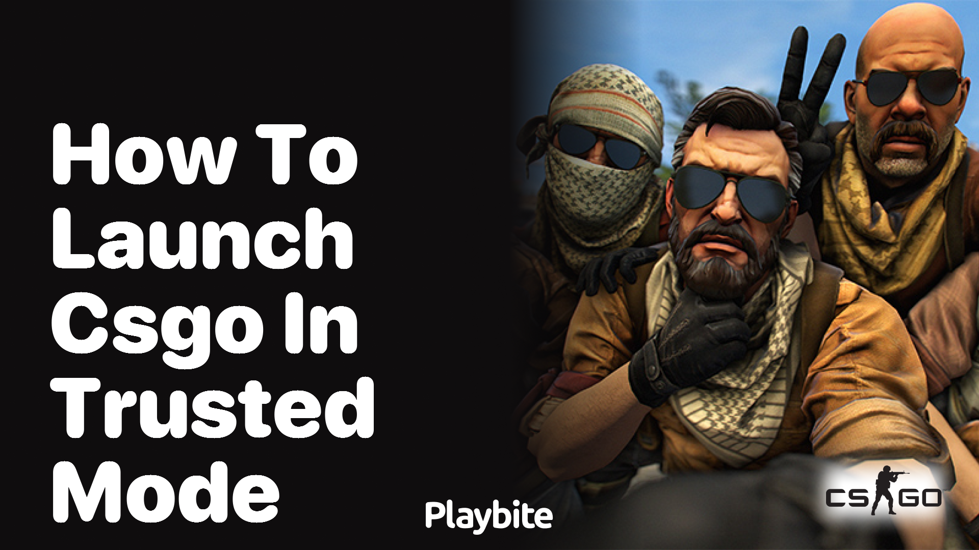 How to Launch CS:GO in Trusted Mode?