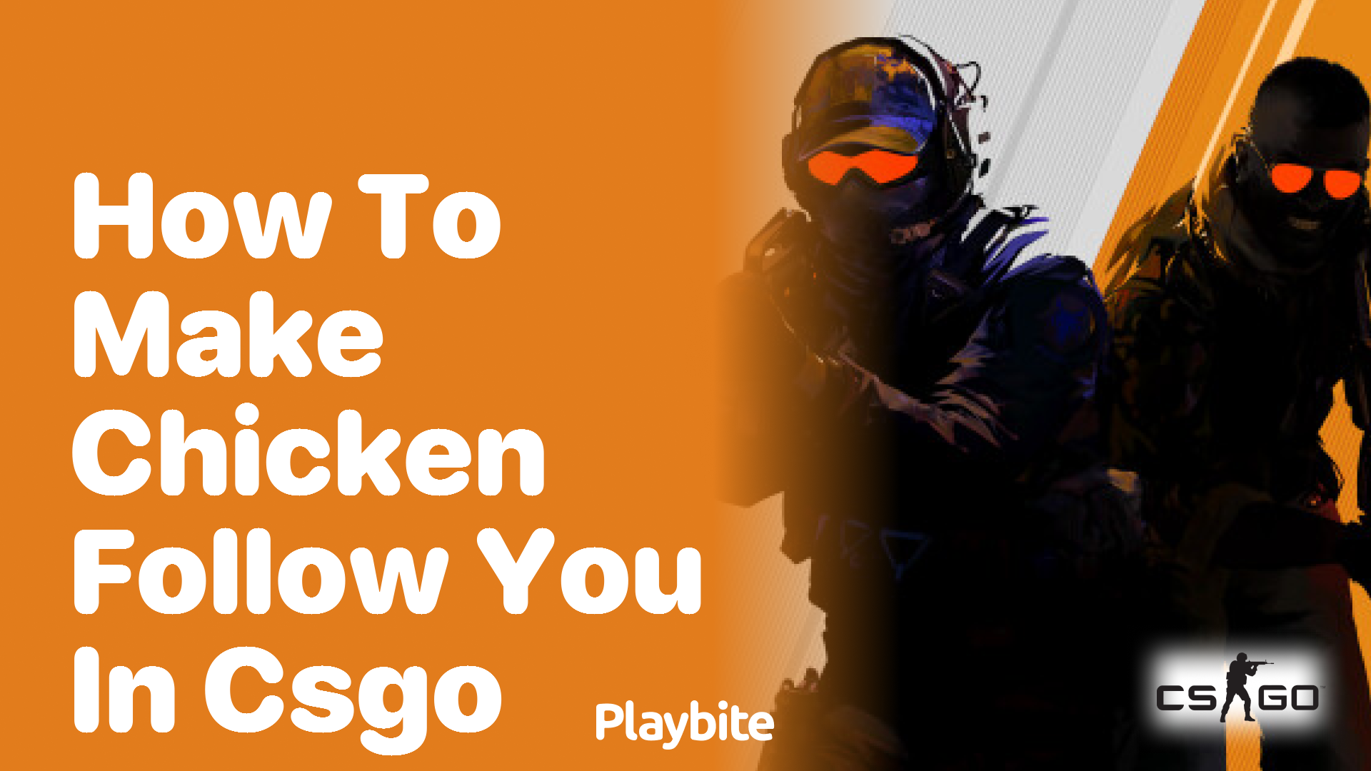 How to make a chicken follow you in CS:GO