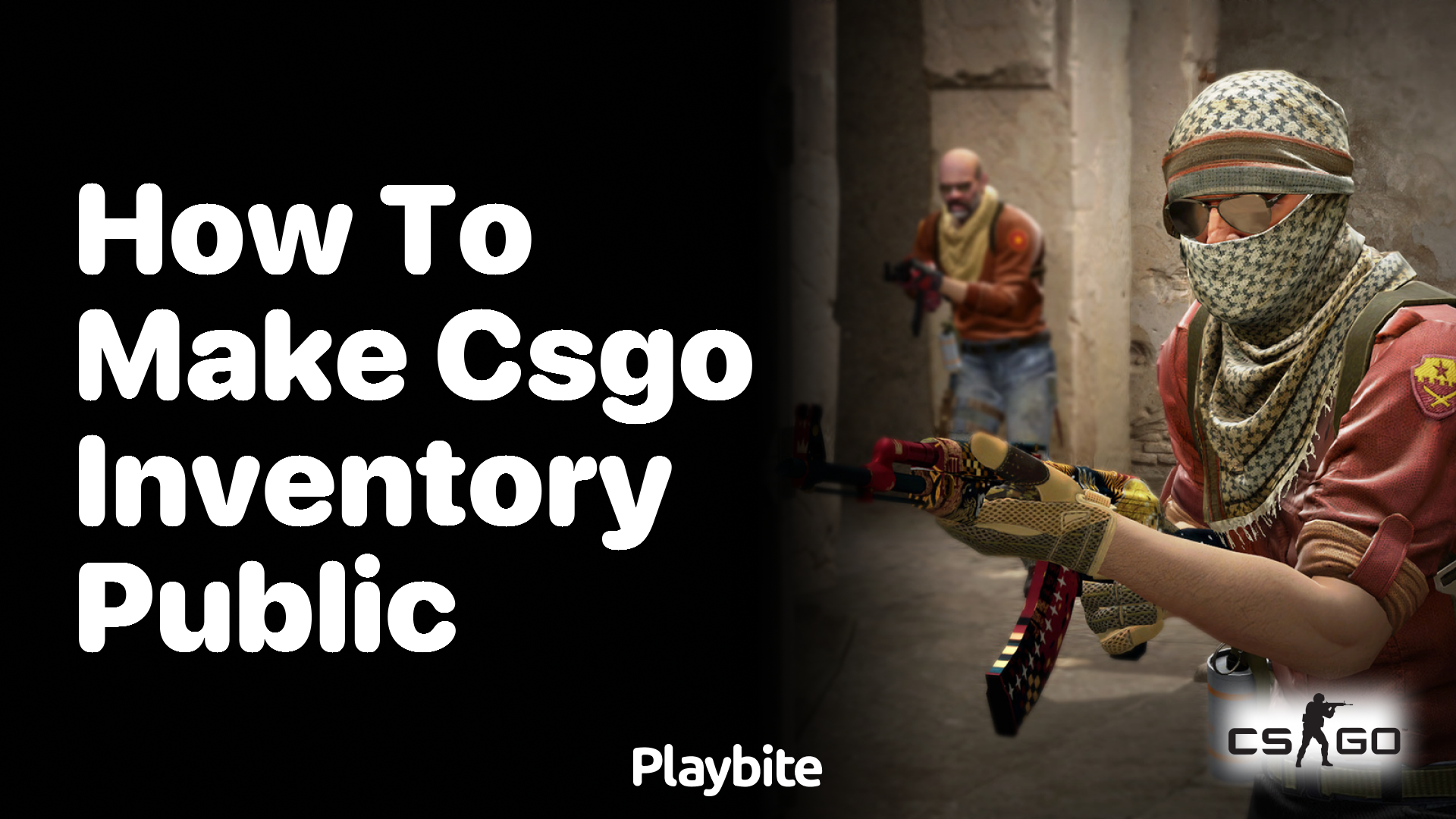 How to make your CS:GO inventory public