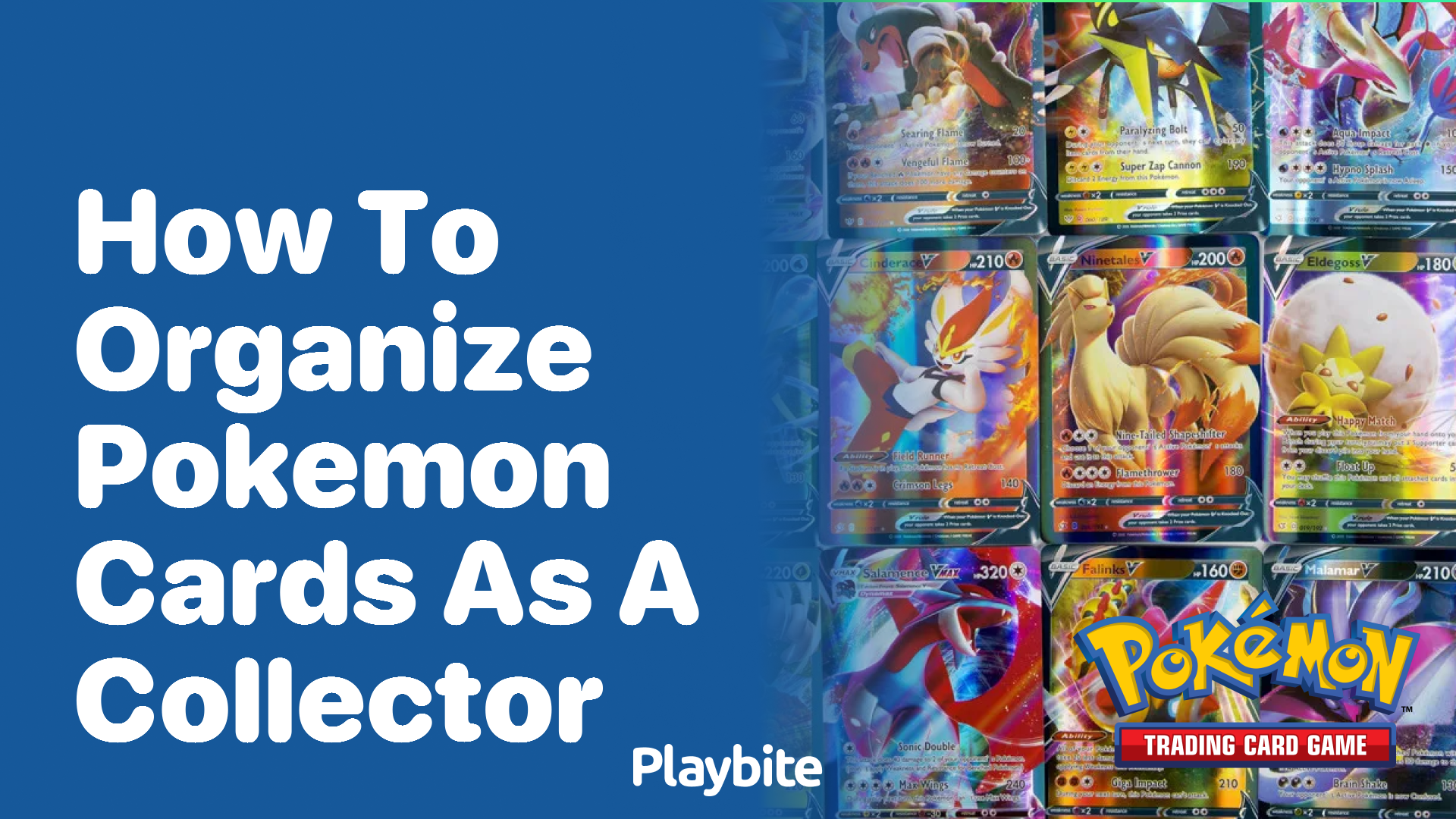 How to Organize Pokemon Cards as a Collector