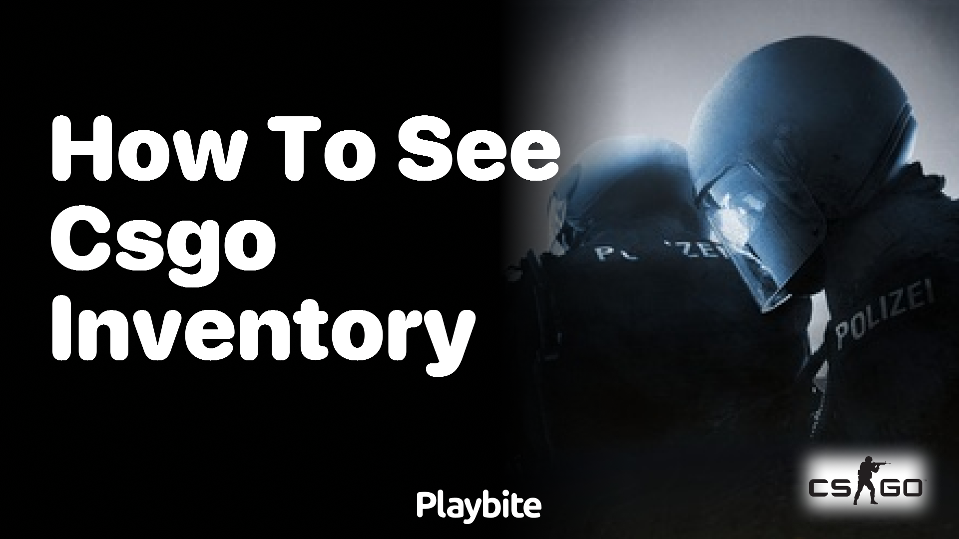 How to see your CS:GO inventory