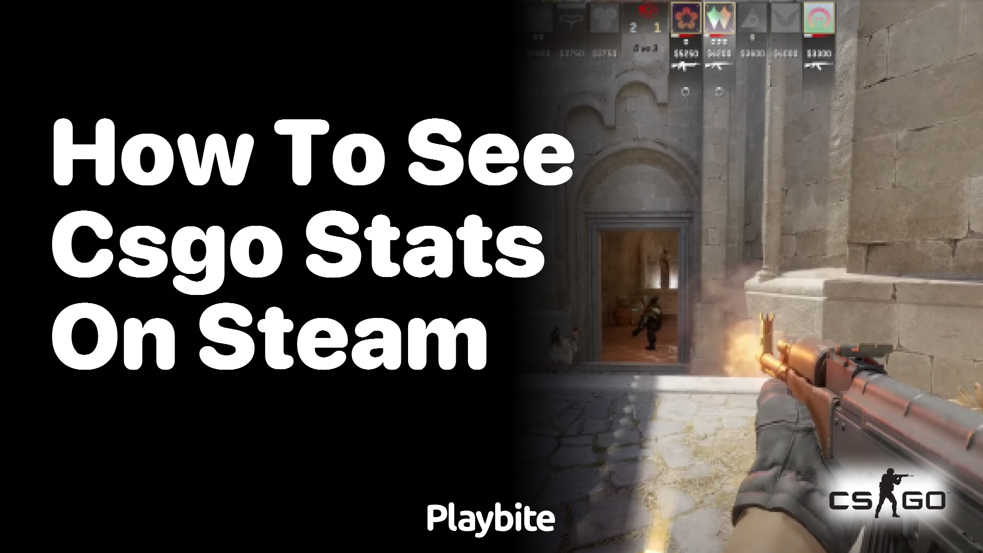 How to See CS:GO Stats on Steam