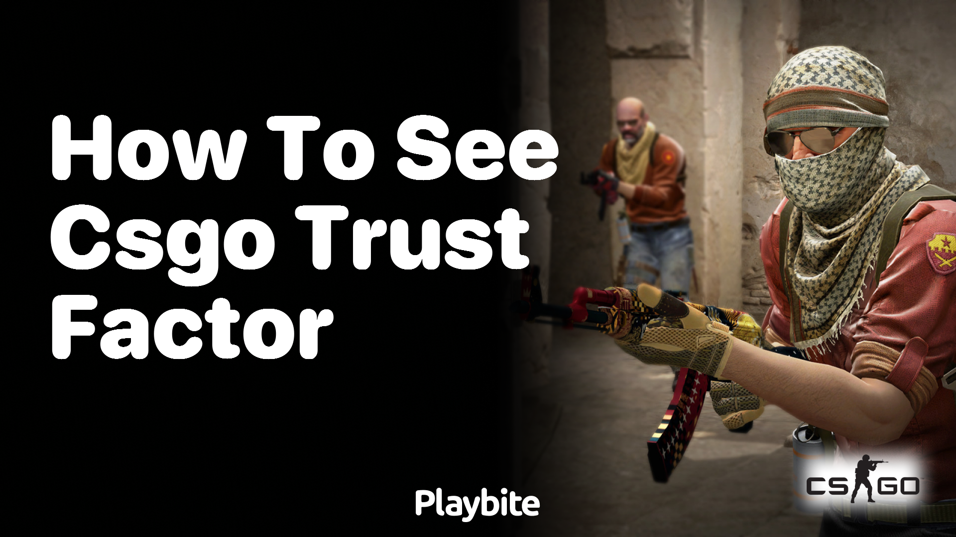 How to See CS:GO Trust Factor