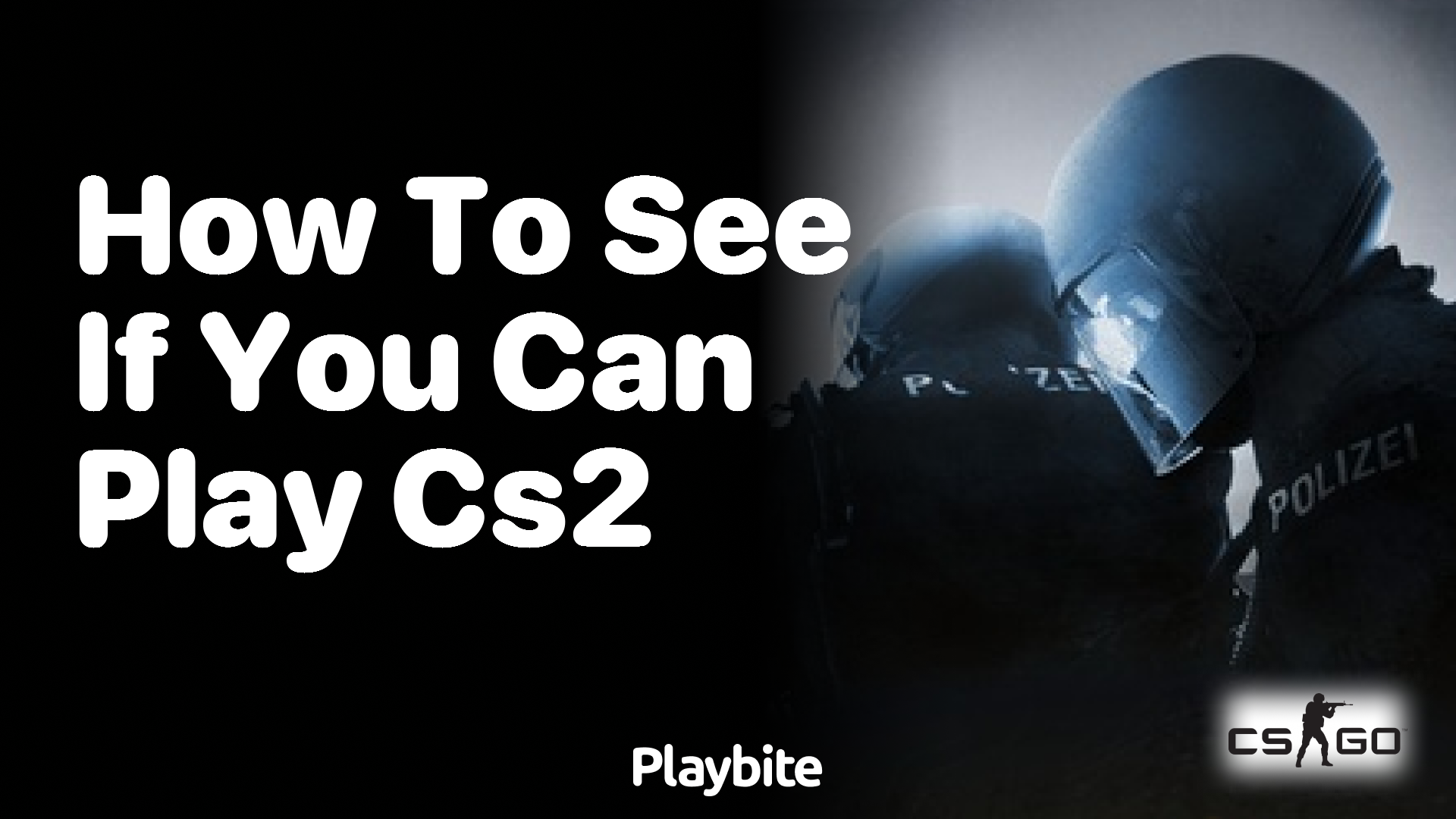 How to see if you can play CS2