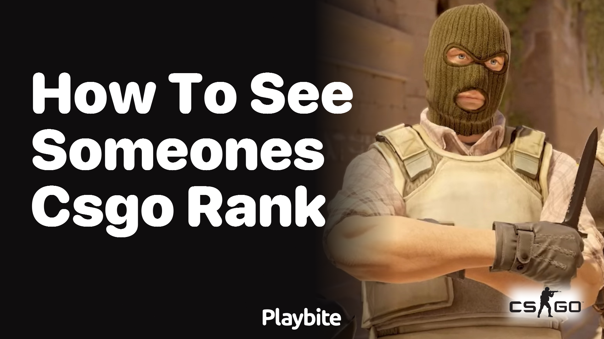 How to see someone&#8217;s CS:GO rank?