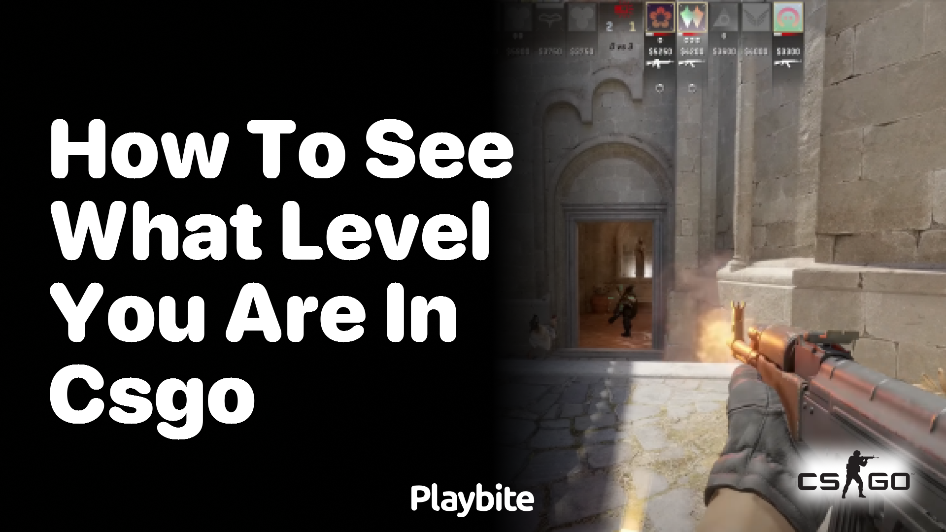 How to check your level in CS:GO